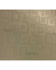 Prism Maze Film, Small Blank